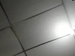 Private Sex Chat with alannaht - Amateur