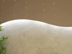 Adult Webcam with Willowhendrix - Amateur