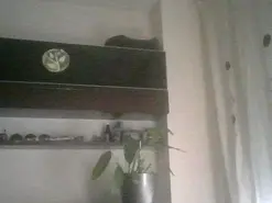 Private Sex Chat with alexcam23 - Amateur