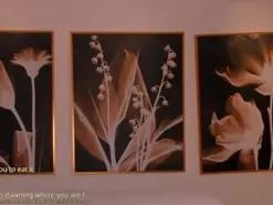 Watch Live Sex Cams with RebeccaWest - Amateur