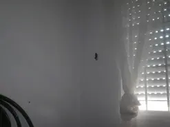 Private Sex Chat with tamara25 - Amateur