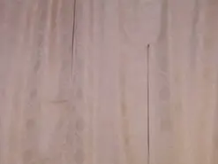 Adult Webcam with DaraSweet - Amateur