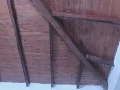 Adult Video Chat with Chleo_ - Amateur