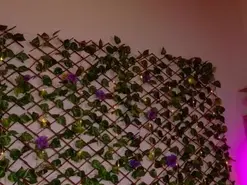 Live Sex Cam with melody_cute - Amateur