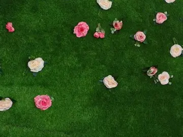 Sex Chat with HugeTittiess - Bongacams