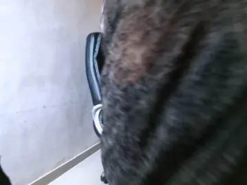 Best live sex cam show with hotpavitra - Bongacams