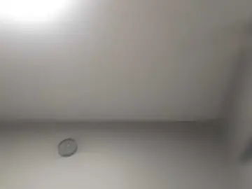 Adult Webcams with Roksa2026-1 - Bongacams