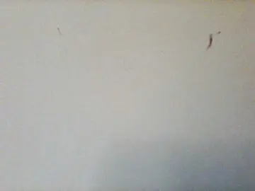 Adult Webcams with Auraluxe - Bongacams