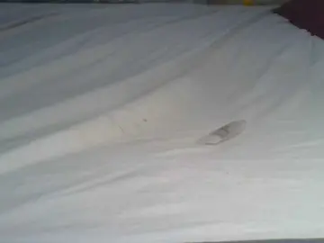 Adult Webcams with Shantell - Bongacams