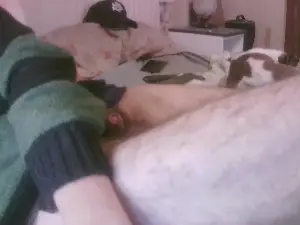 Live Sex Cam with robotech - Cam4