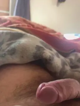Nude Webcam with doserres - Cam4