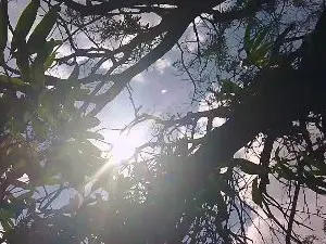 Sex Cam with MONSTER777DADDY - Cam4