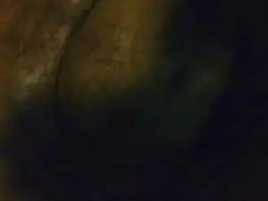 Best live sex cam show with MONSTER777DADDY - Cam4