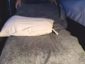 Sex Chat with arianrod1969 - Cam4