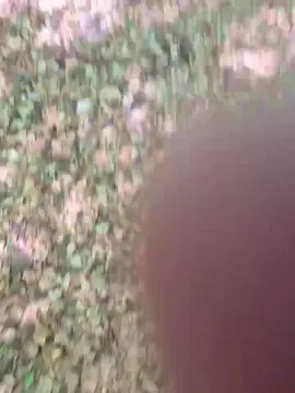 Free Porn Cam with imfreienzeigen - Cam4