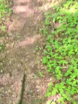 Watch Live Sex Cams with imfreienzeigen - Cam4