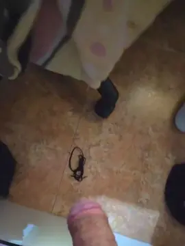 Adult Video Chat with Bighandx - Cam4