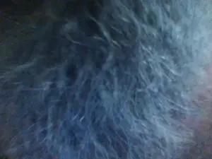 Adult Video Chat with sugardaddysp1 - Cam4