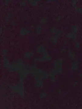 Adult Webcams with Beliath92 - Cam4