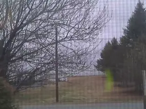 Watch Live Sex Cams with Steamjocky777 - Cam4