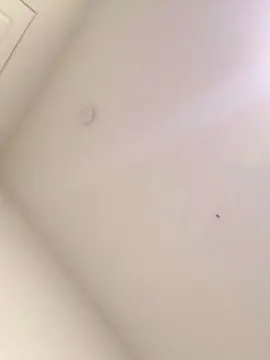 Live Porn with Daddyslut4u - Cam4