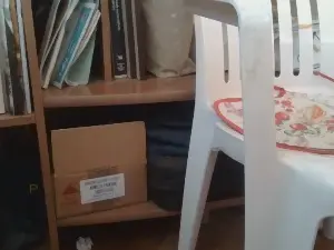 Adult Video Chat with grifo18 - Cam4