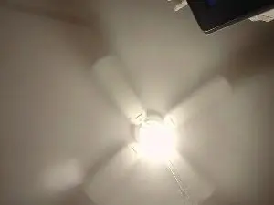 Best Webcam with olewrench35 - Cam4