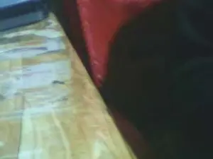 Live Sex with betercim - Cam4