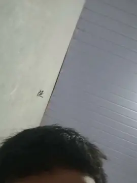 Live Porn with Josa040319 - Cam4