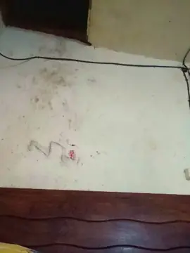 Adult Webcams with minikit_sexy - Cam4