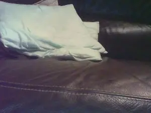 Live Porn with esox77 - Cam4