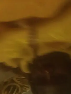 Sex Cam with PinkieMonic5 - Cam4