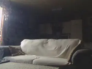 Sex Cam with naturistboy3 - Cam4