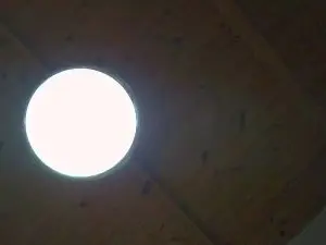 Free Live Porn with luuisitoo - Cam4