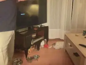 Nude Webcam with CalipoMad - Cam4