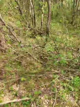 Adult Video Chat with Bart_6 - Cam4