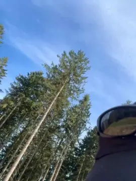 Nude Webcam with Zeigegeiler69 - Cam4