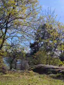 Nude Webcam with fuje - Cam4