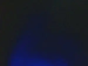 Adult Webcams with PTcouple299 - Cam4