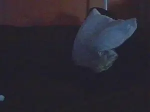 Free Porn Cam with SvenTwinkboy - Cam4