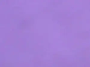 Free Live Porn with Dante_hot18 - Cam4