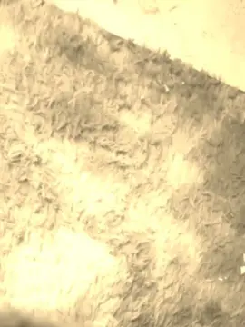 Sex Cam with Andriwssw - Cam4