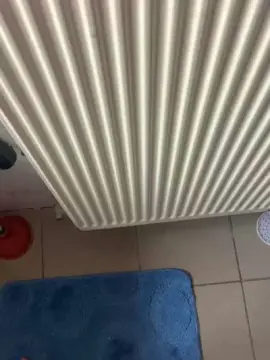 Sex Chat with mirsad33 - Cam4