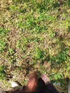 Free Live Porn with Andresmistress - Cam4