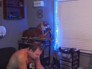 Live Porn with jameswebbscope - Cam4