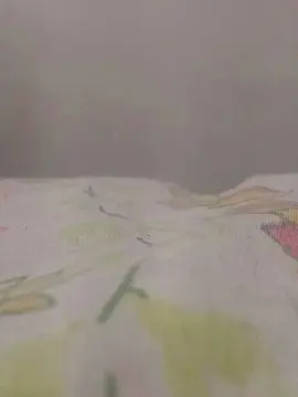 Adult Webcams with Dot22cmAtv - Cam4