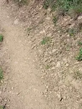 Live Sex Cam with sikici20 - Cam4