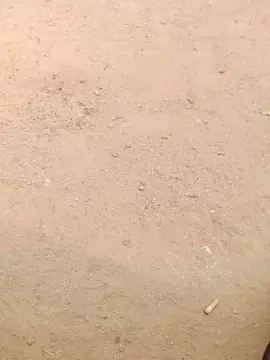 Best Webcam with Bcn18Real - Cam4