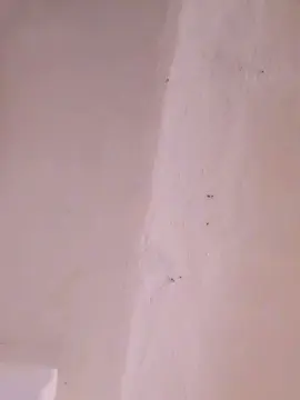 Watch Live Sex Cams with RiBelliPorcelli - Cam4