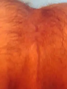 Adult Video Chat with jimy303 - Cam4